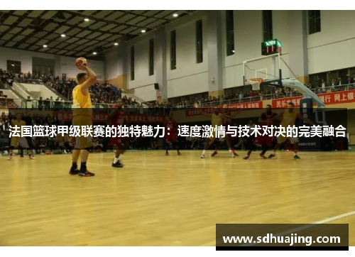 法国篮球甲级联赛的独特魅力：速度激情与技术对决的完美融合