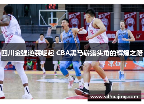 四川金强逆袭崛起 CBA黑马崭露头角的辉煌之路