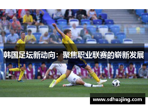 韩国足坛新动向：聚焦职业联赛的崭新发展
